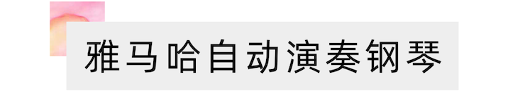 活动报道 | 远程艺术教育大师课活动—yl6809永利教育家崔岚大师课